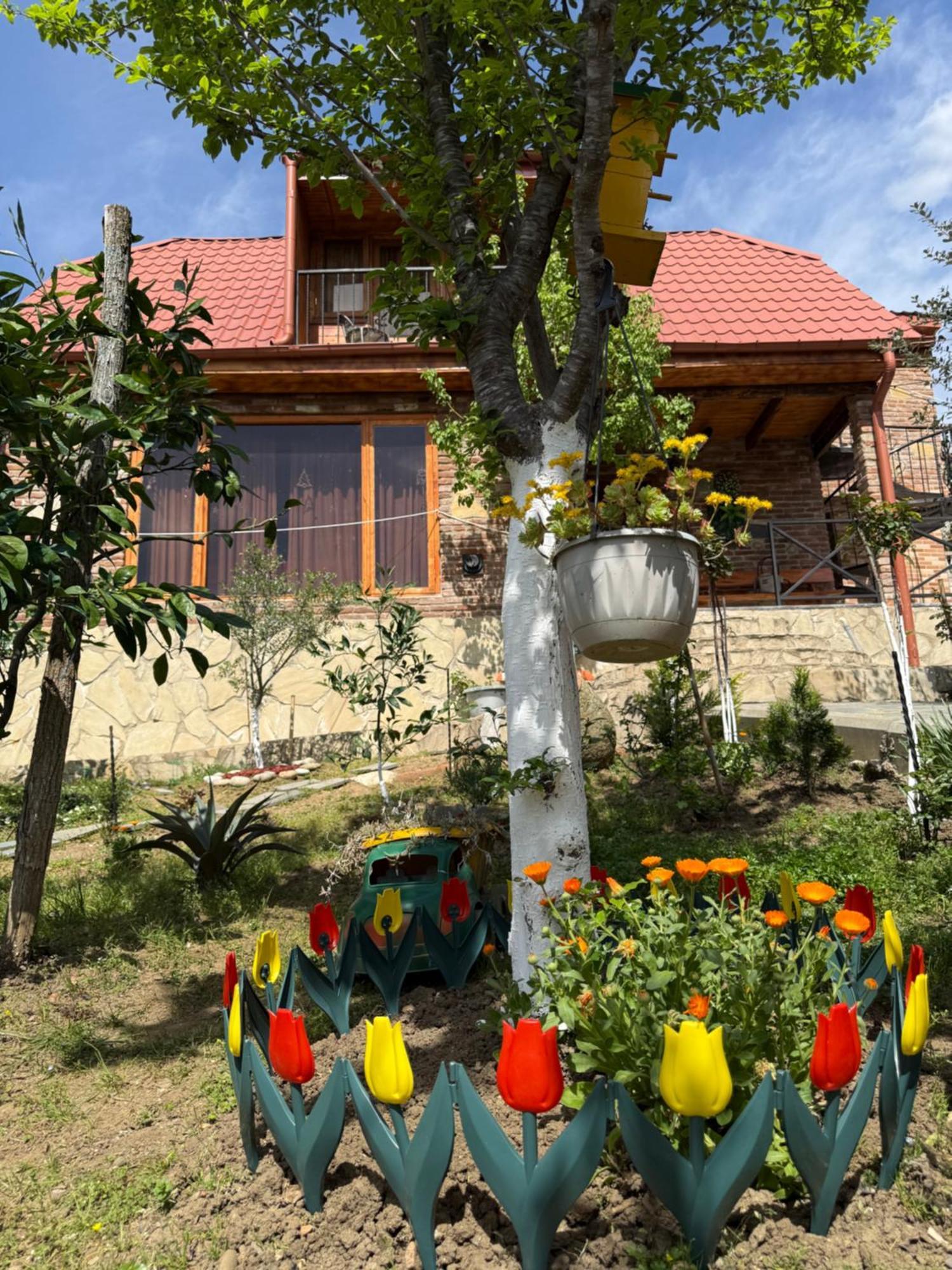 Villa Sunshine House Kutaissi Exterior foto